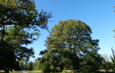 Manoir - 1 490 m² - 33 pièces