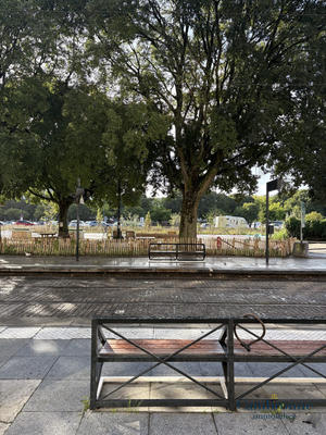 Appartement - 37 m² - 1 pièce