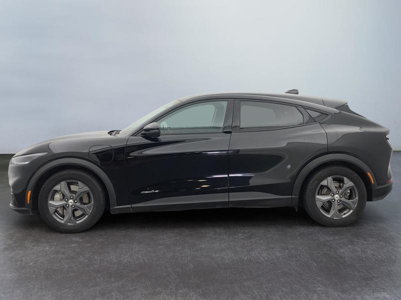 Ford Mustang Mach-E Standard Range 76 kWh 269 ch