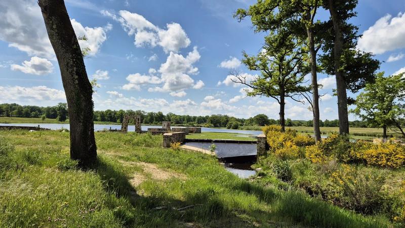 Terrain - 171 986 m²