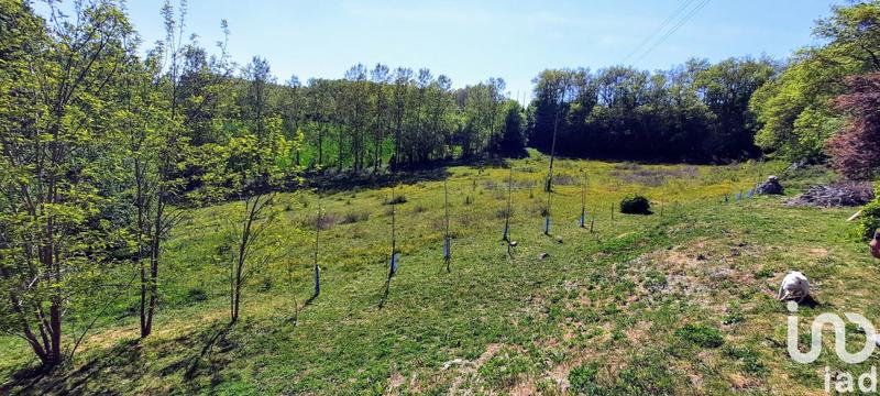 Maison - 300 m² - 15 pièces