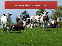 au bas de l'étang