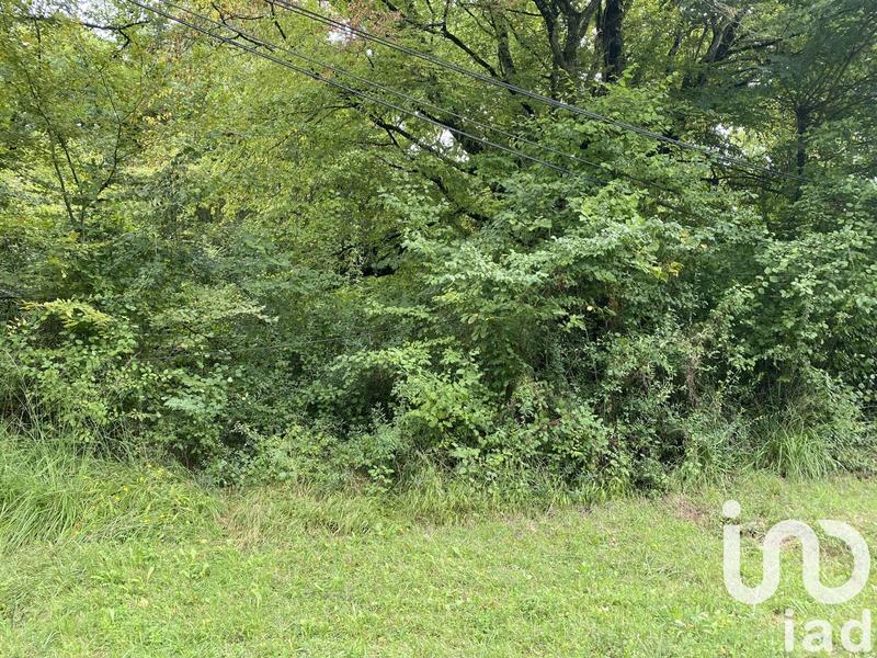 Terrain agricole - 10 388 m²