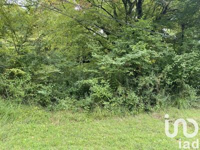 Terrain agricole - 10 388 m²