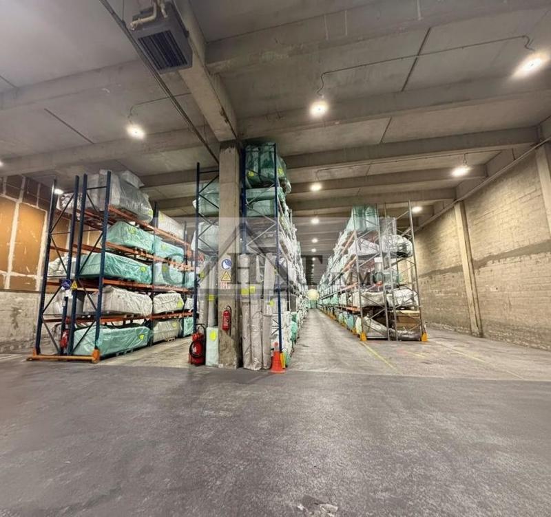 Entrepôt - 3 784 m²