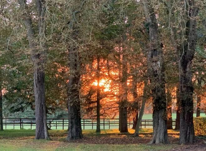 Manoir - 730 m² - 20 pièces