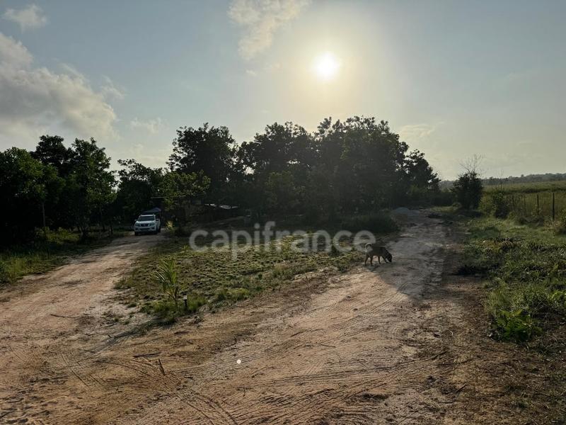 Maison de bois - 79 m² - 3 pièces
