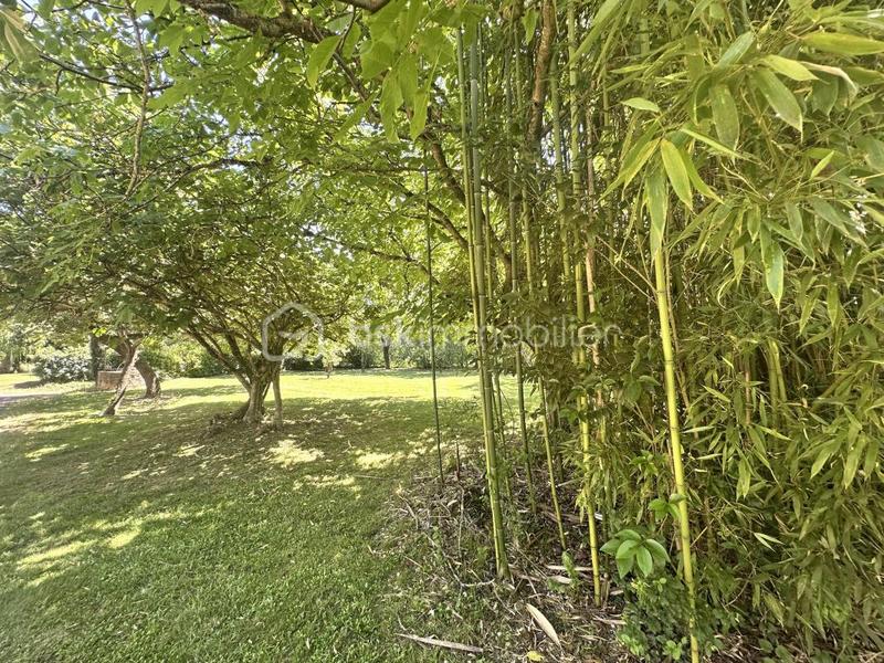 Propriété - 398 m² - 13 pièces