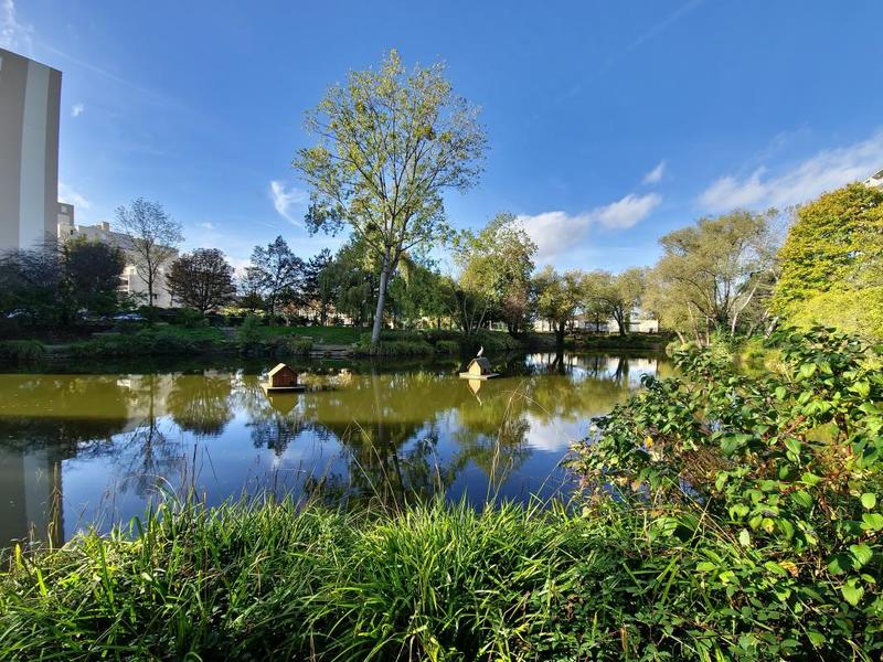 Appartement - 77 m² - 4 pièces