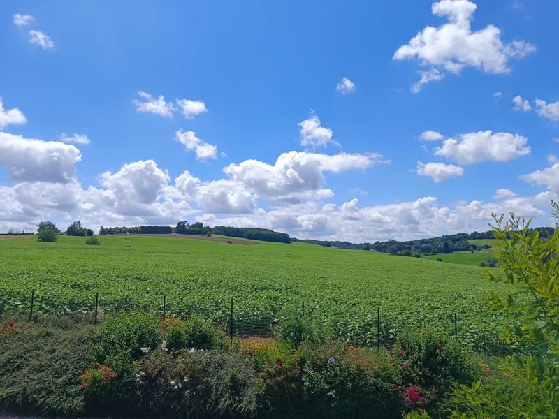 Maison - 350 m² - 8 pièces