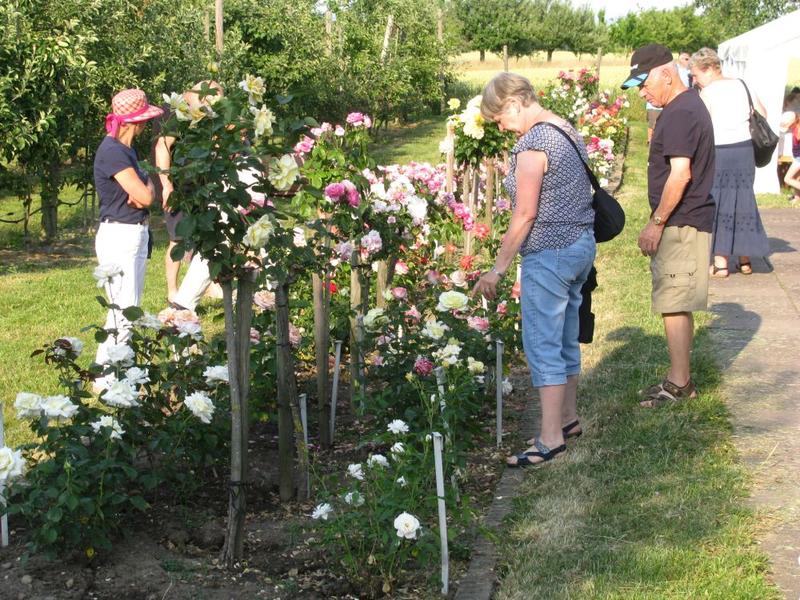 Portes ouvertes au verger