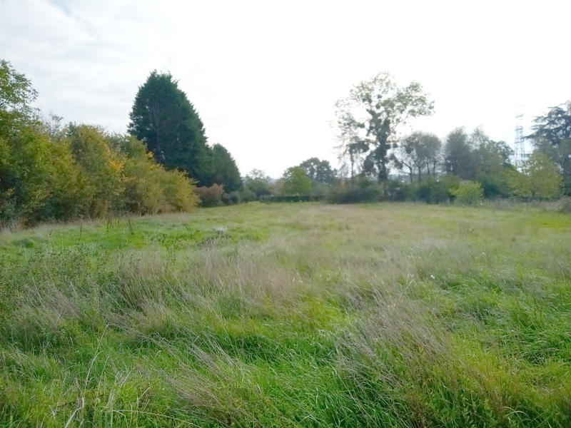 Maison - 165 m² - 5 pièces