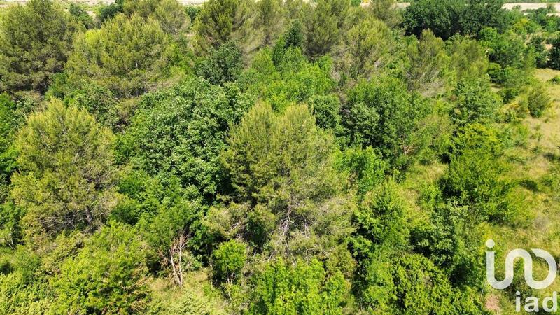 Terrain agricole - 12 527 m²