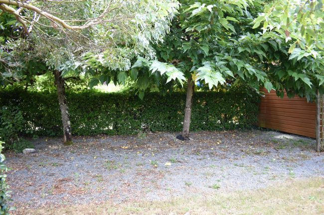 Maison - 49 m² - 3 pièces