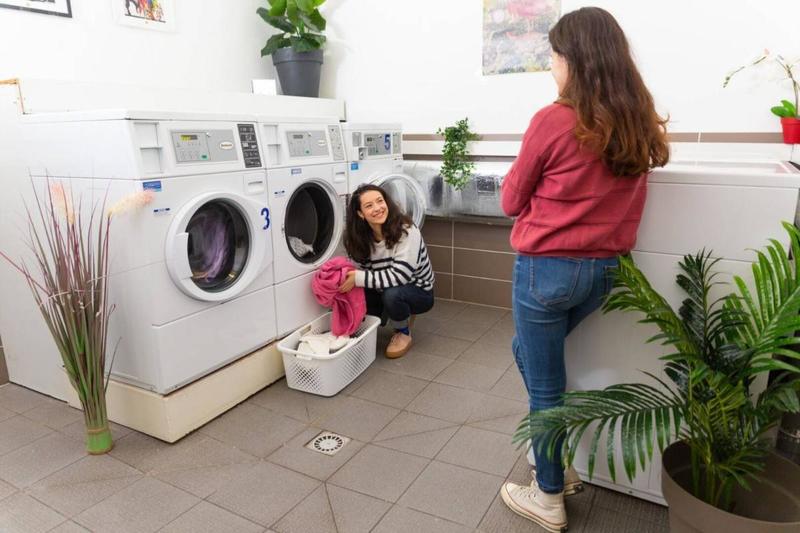 Studio - 14 m² - 1 pièce