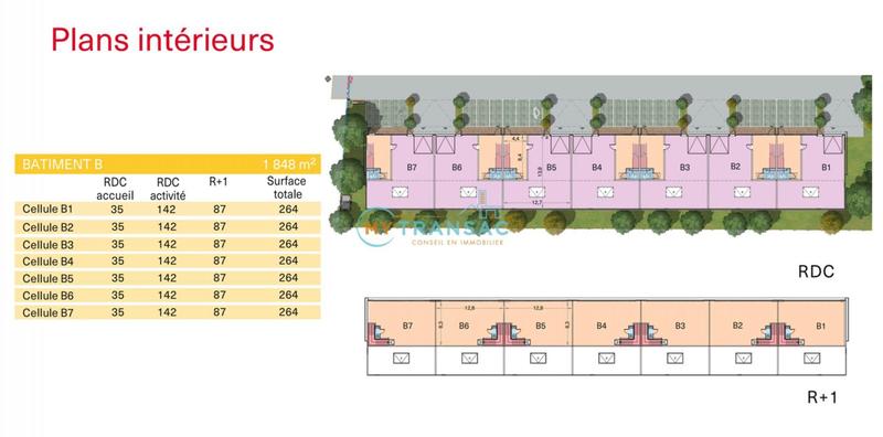 Local d'activités - 264 m²