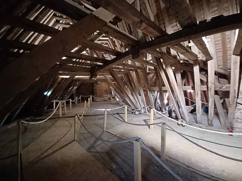 Visite guidée des toitures - Château en fête