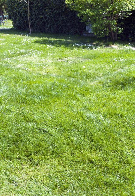 Terrain constructible - 452 m²