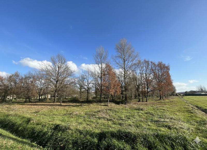 Terrain constructible - 1 408 m²