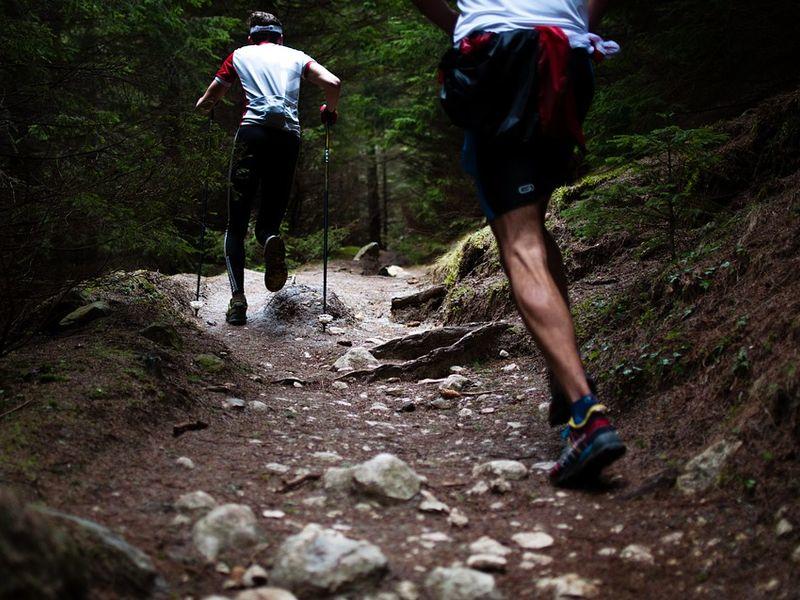 Castel'Trail Neavus 2000