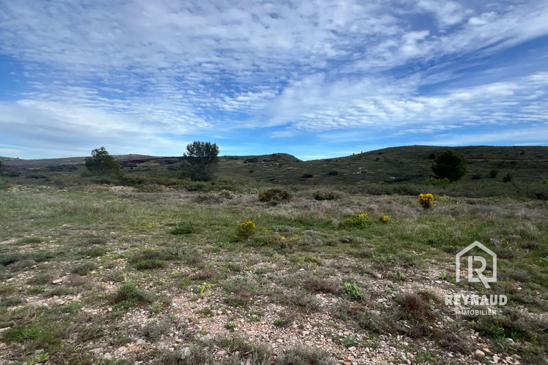 Terrain - 41 490 m²