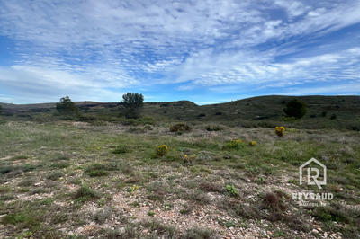 Terrain - 41 490 m²