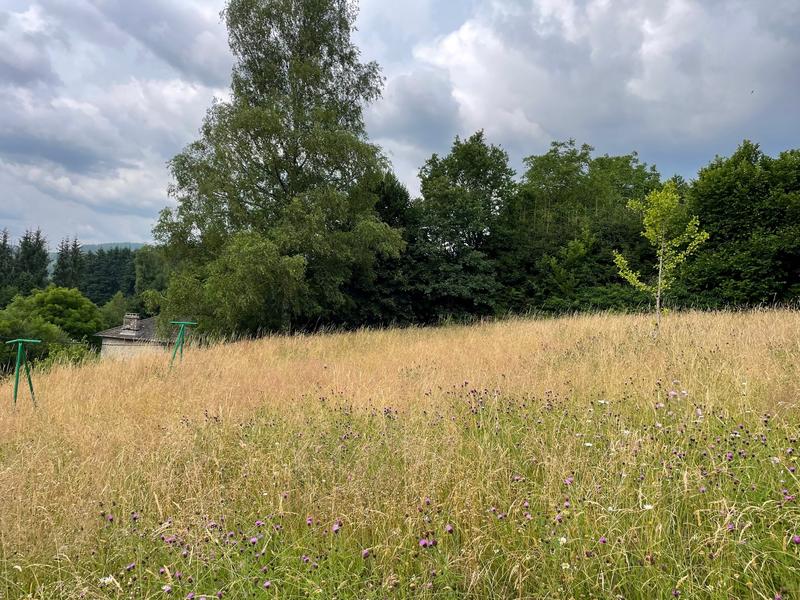 Maison ancienne - 95 m² - 4 pièces