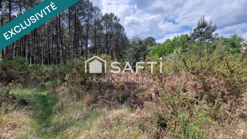 Terrain - 28 539 m²