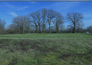 Terrain constructible - 1 720 m²