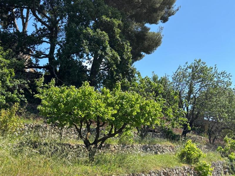 Terrain constructible - 1 311 m²