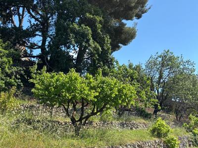 Terrain constructible - 1 311 m²