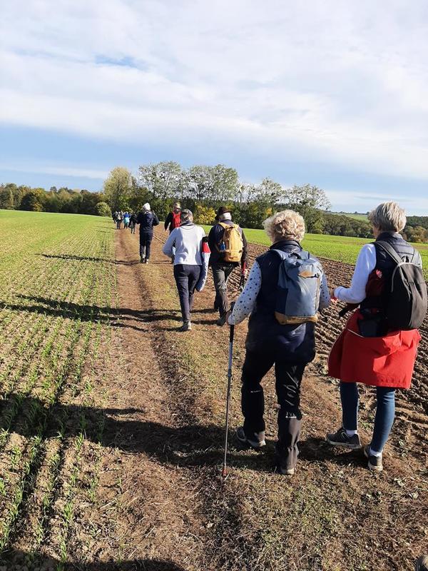 Randonnée découverte du site V1 de la propriété Gazan