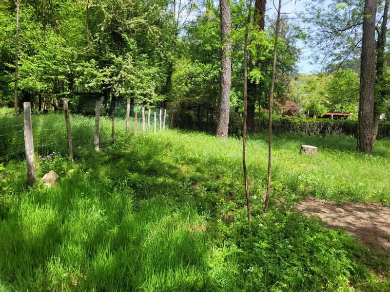 Terrain constructible - 3 500 m²