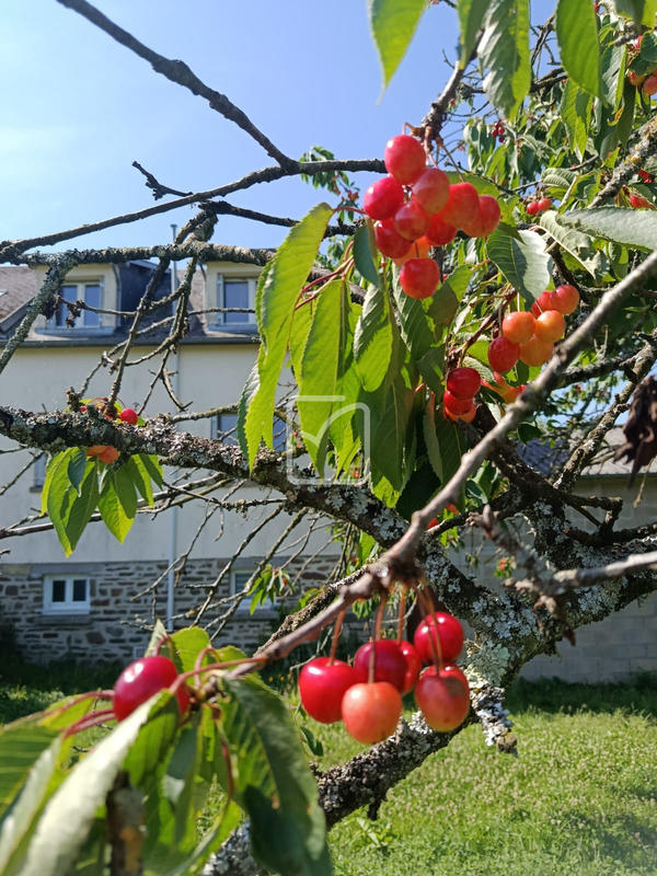 Maison - 103 m² - 7 pièces