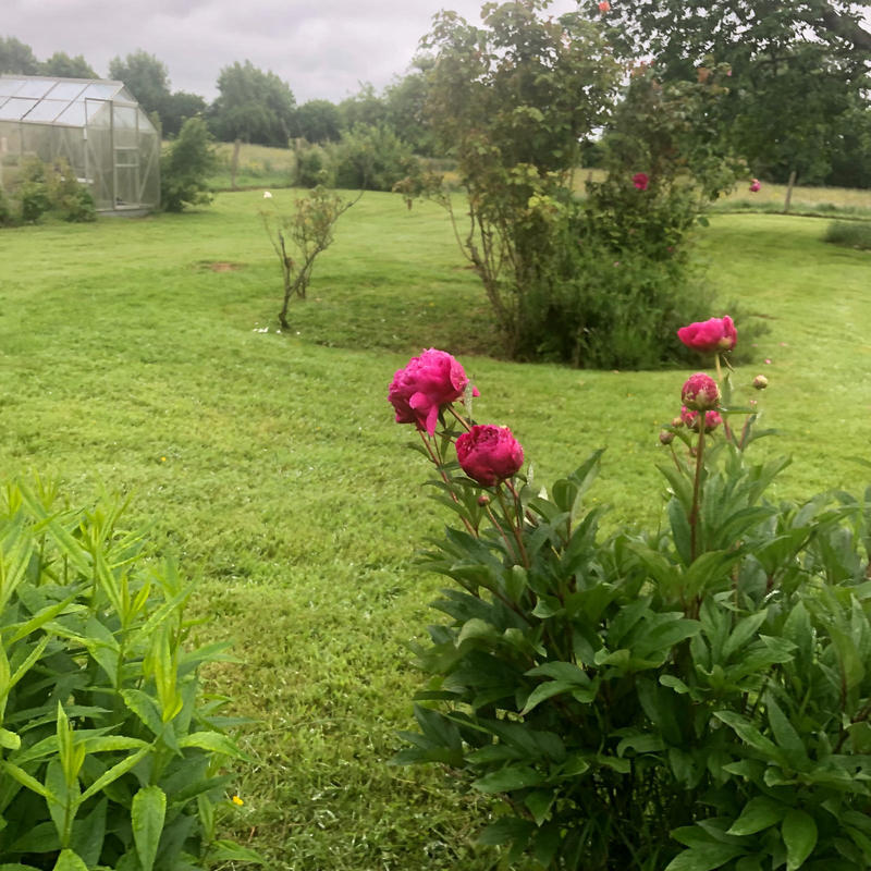 Maison - 85 m² - 5 pièces