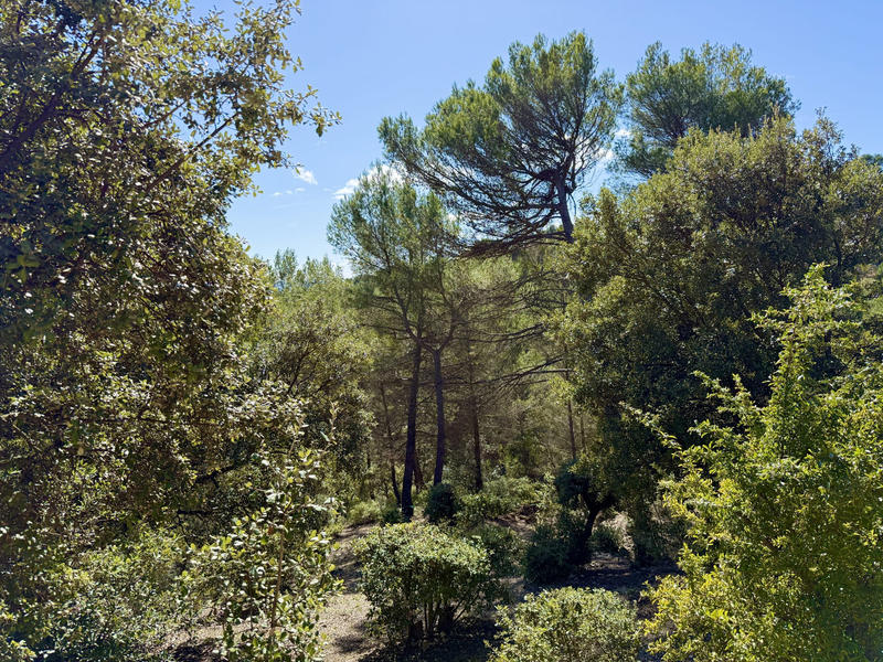 Villa - 168 m² - 5 pièces