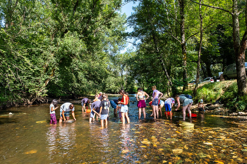 Stage de Chercheur d'or