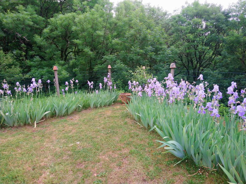 Maison - 124 m² - 5 pièces