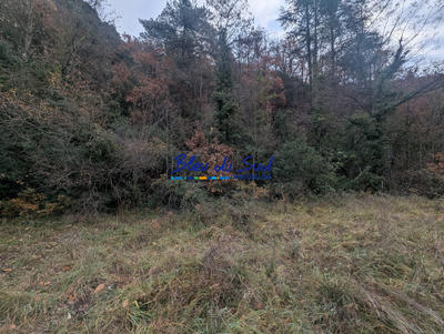 Terrain agricole - 9 160 m²