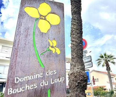 Appartement - 24 m² - 1 pièce