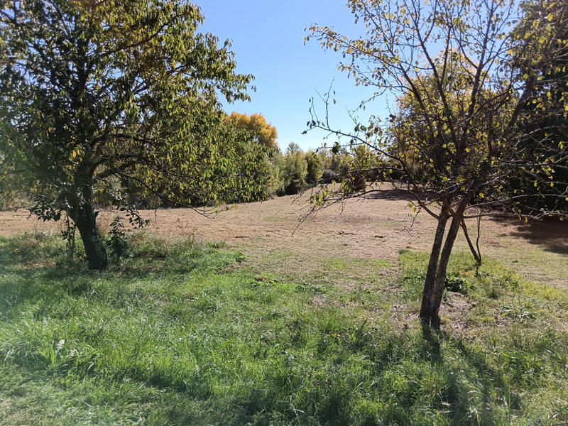 Châlet - 34 m² - 2 pièces