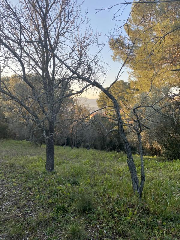 Terrain constructible - 902 m²