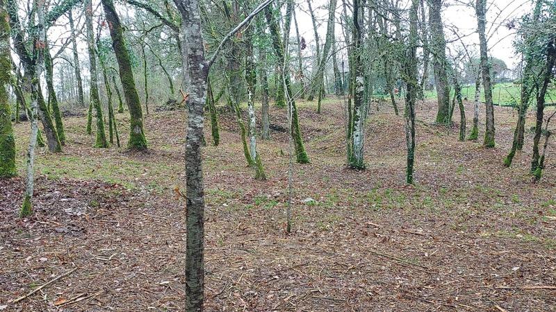 Terrain constructible - 1 255 m²