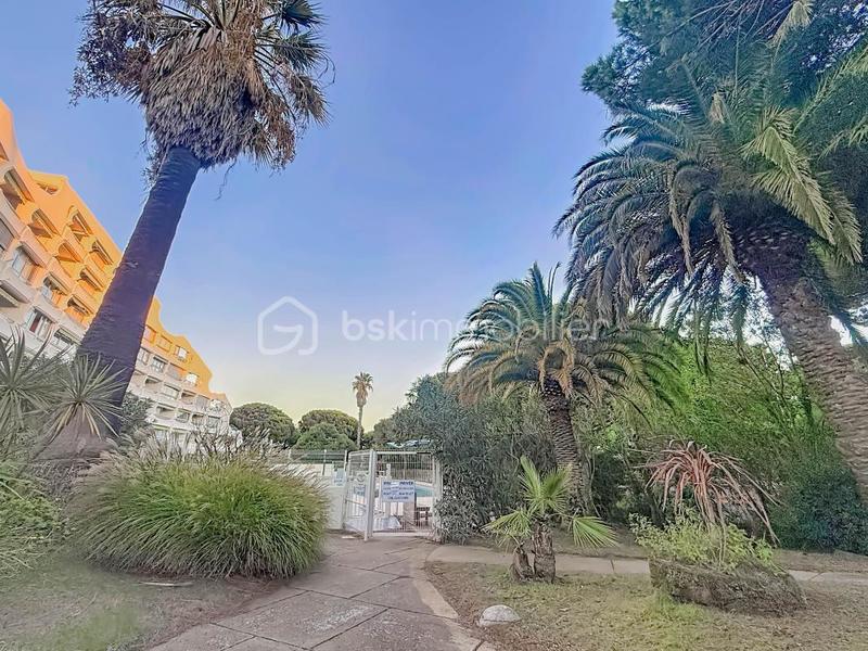 Studio - 32 m² - 1 pièce