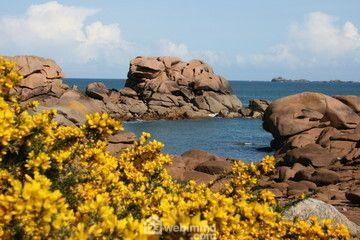 Local commercial - 354 m² - 5 pièces