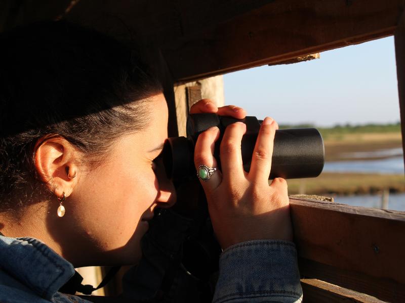 Sortie crépusculaire à Terres d'Oiseaux