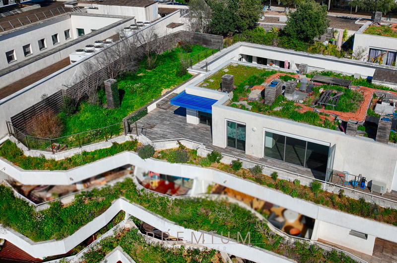 Appartement - 87 m² - 4 pièces