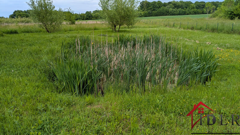 Maison - 145 m² - 4 pièces