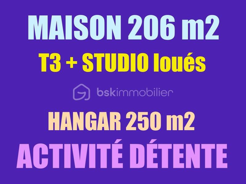 Maison - 650 m² - 12 pièces