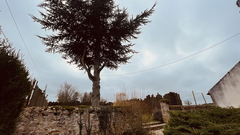 Local commercial - 97 m²